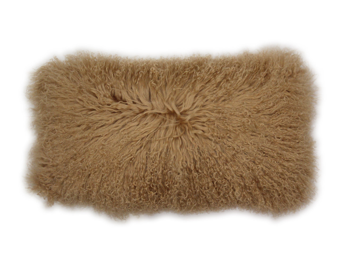 Tibetan Cushion