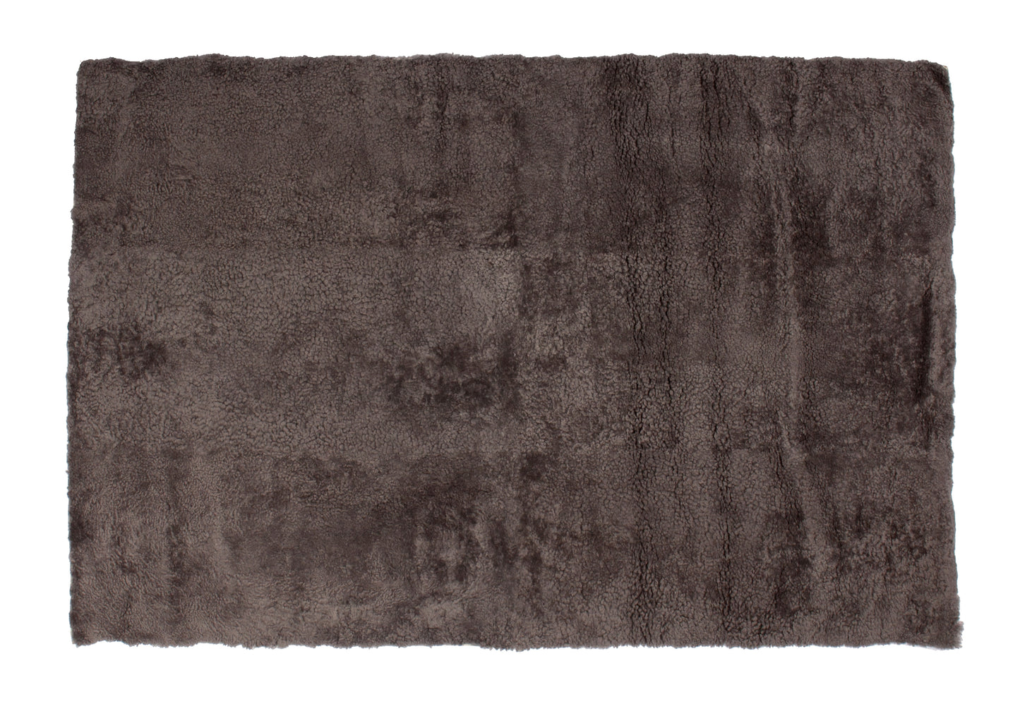 Shorn Curly Area Rug